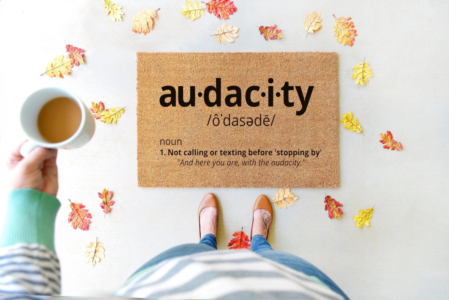 funny-audacity-doormat