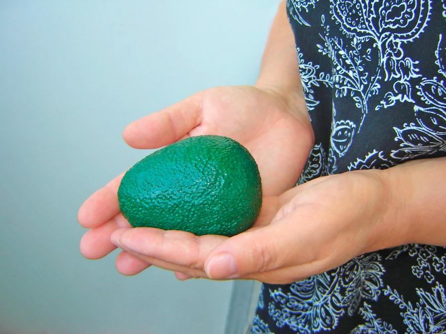 Avocado Ring Holder Box