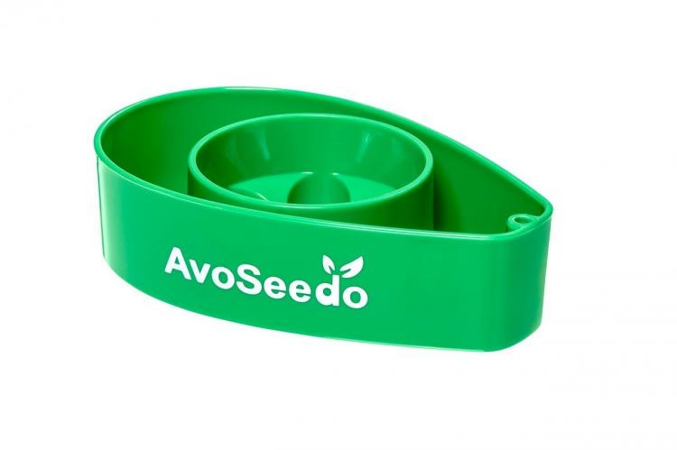 AvoSeedo - Grow Your Own Avocado Tree Using an Avocado Seed