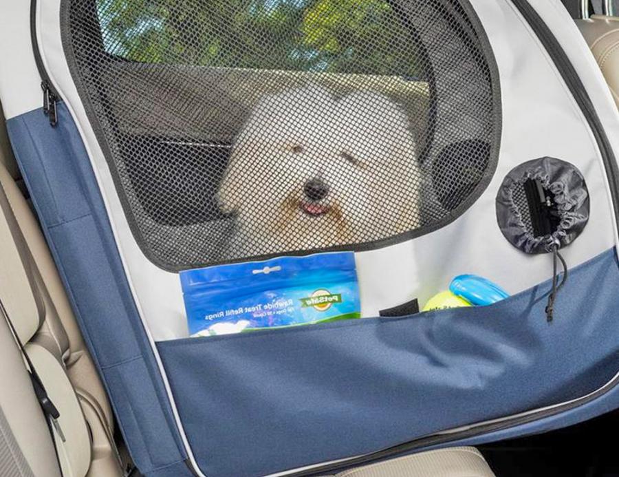 Backseat Dog Crate Specifically Designed For The Car