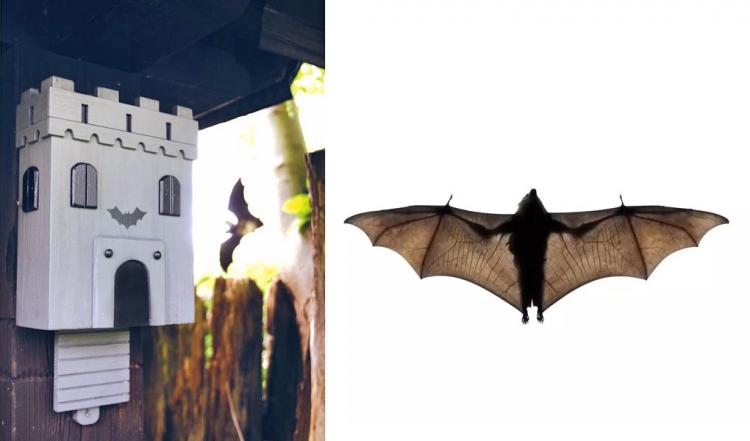 Bat Castle DIY Backyard Bat House - Vampire Castle Bat House