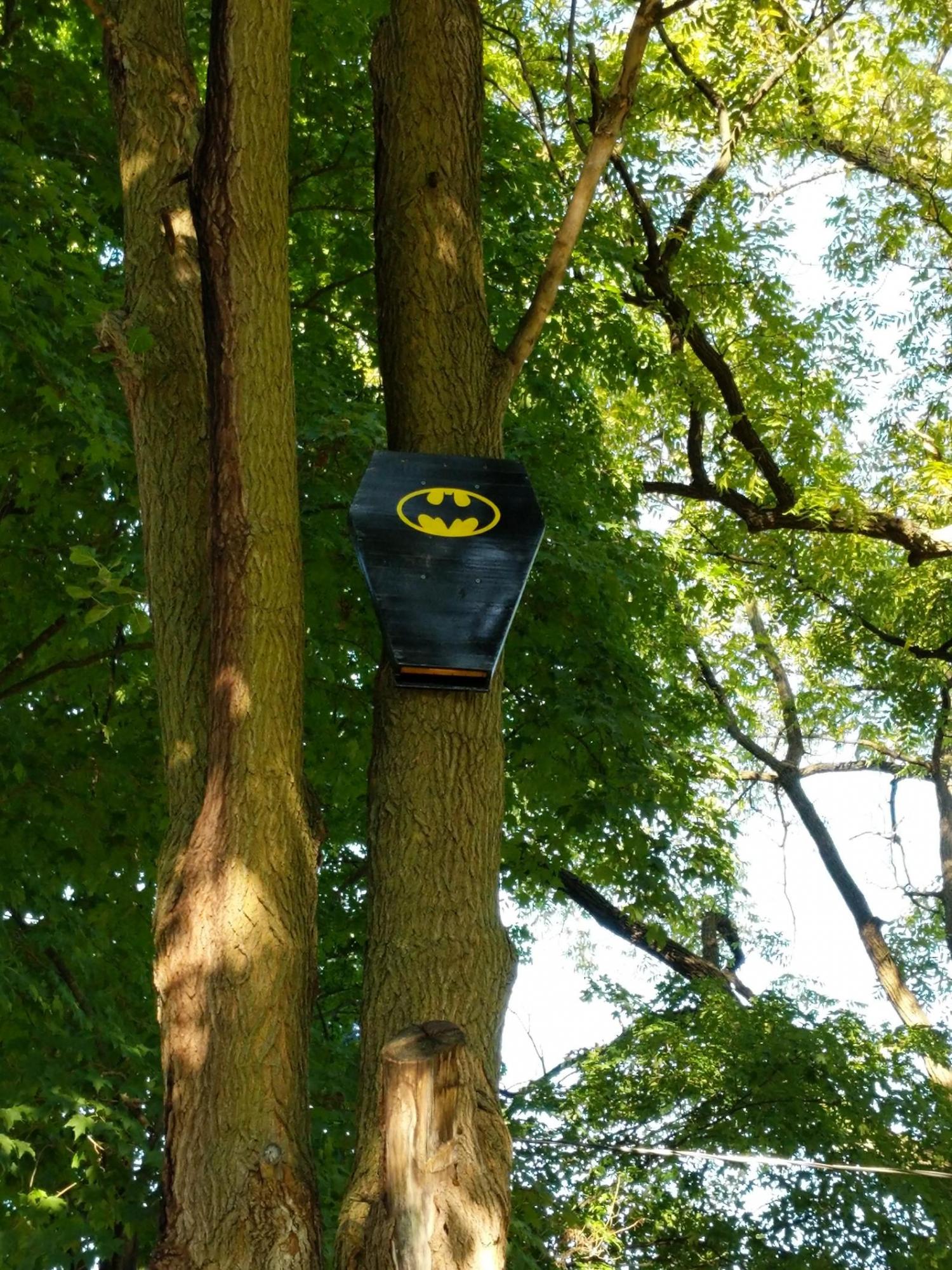 Batman Bat House