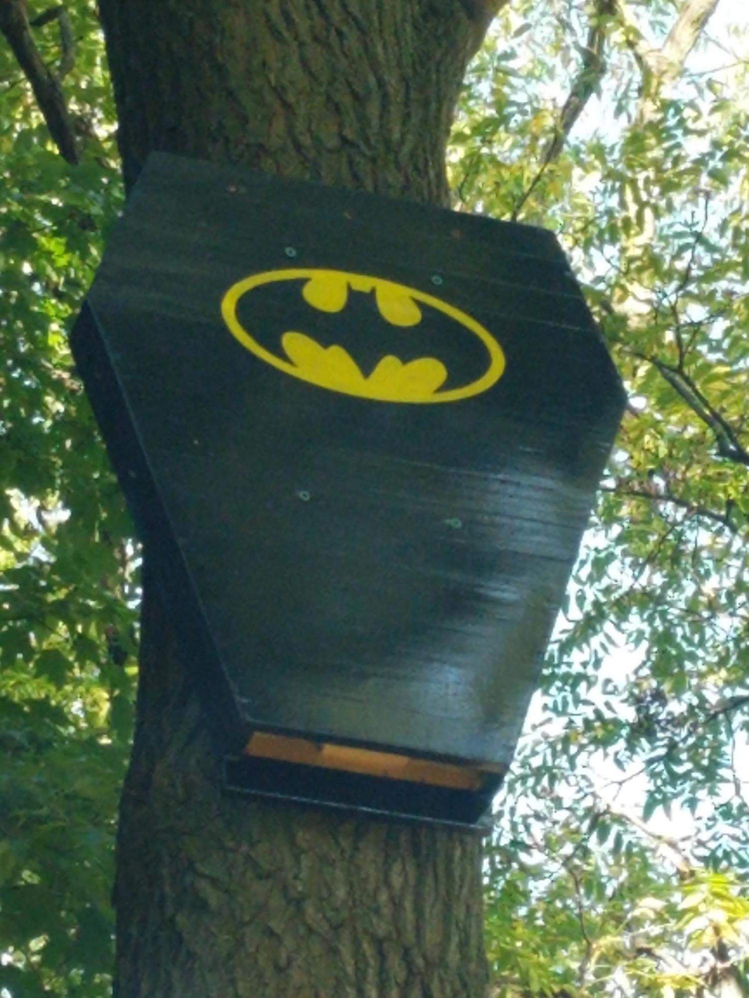 Batman Bat House