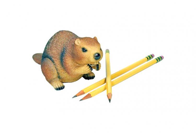 Beaver Pencil Sharpener