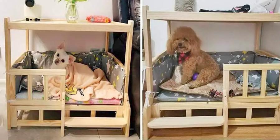 Dog bed outlet under table