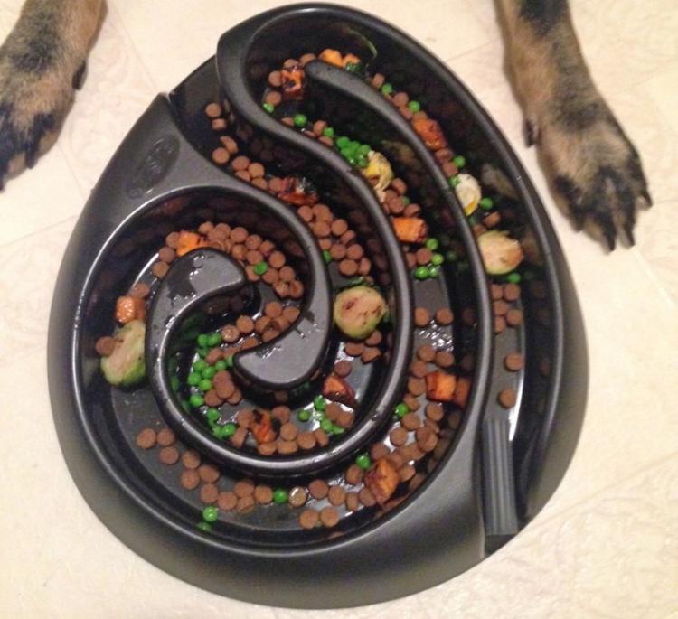 This Food Maze Dog Bowl Keeps Your Dog From Eating Too Fast