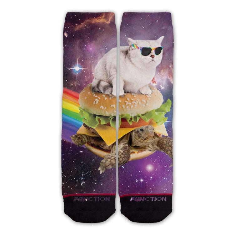 Cat Wearing Sunglasses Riding a Rainbow Cheeseburger Turtle Through Space