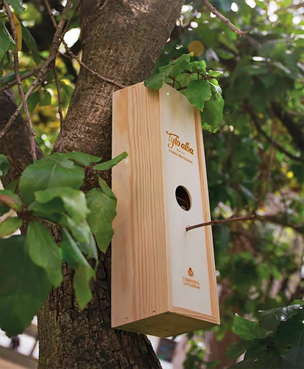 Tyto Albo Wine Box Bird Houes - Owl bird house box made from wine bottle packaging