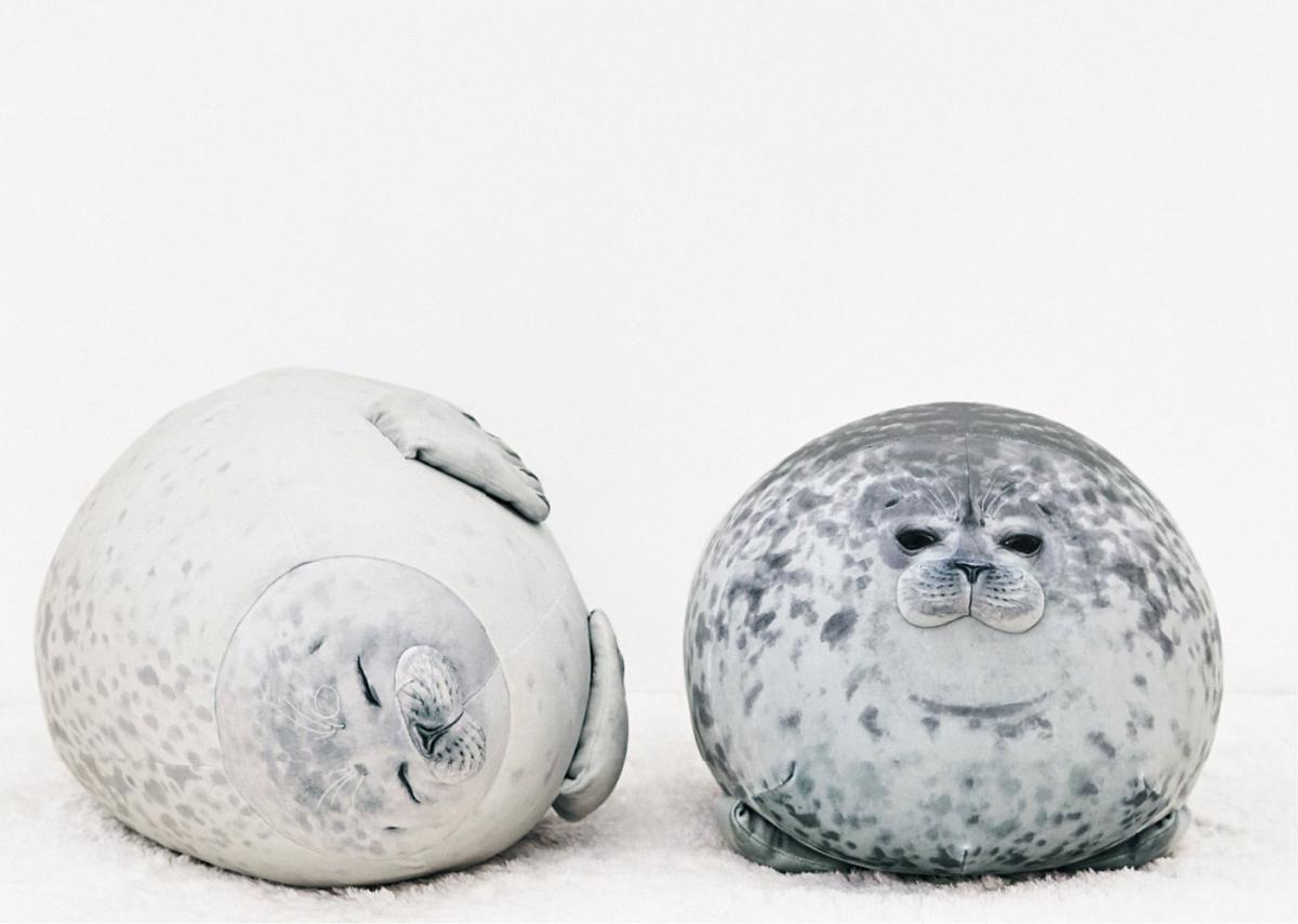 chonky seal pillow amazon