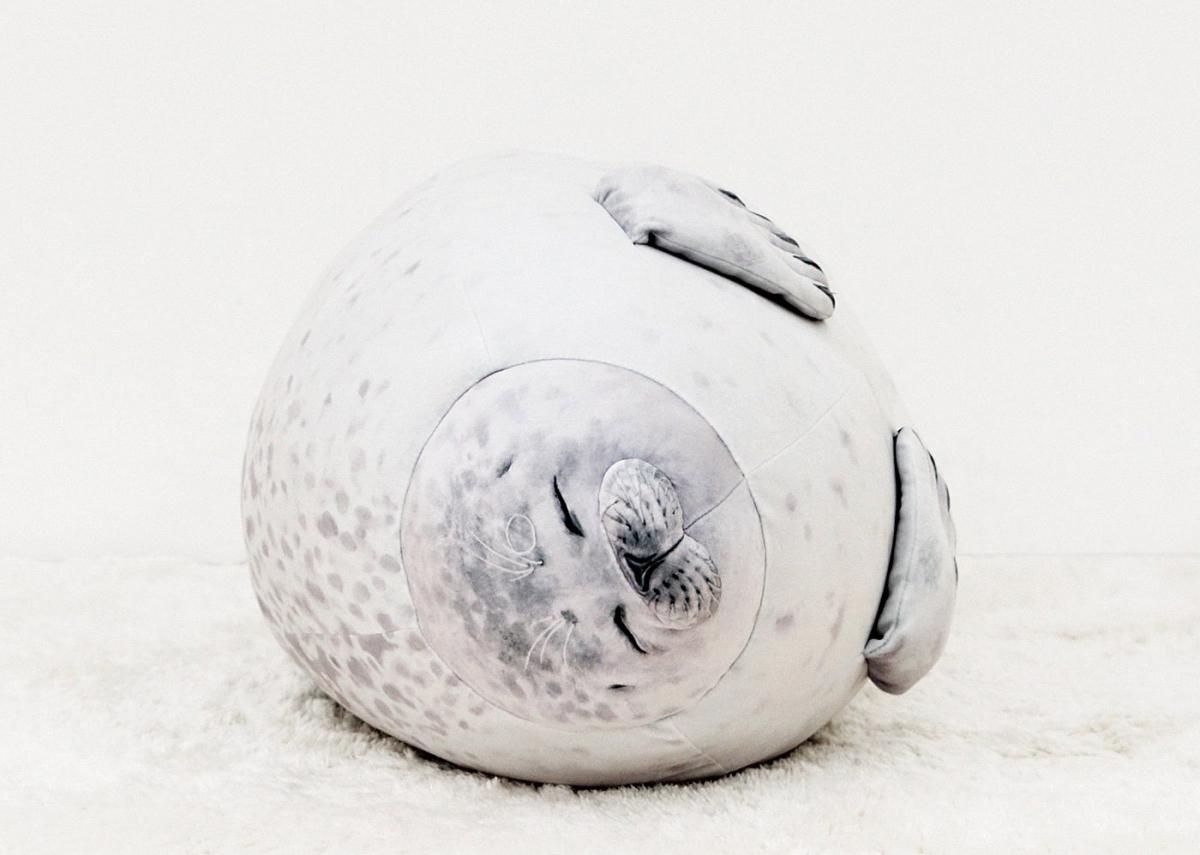 angry seal pillow