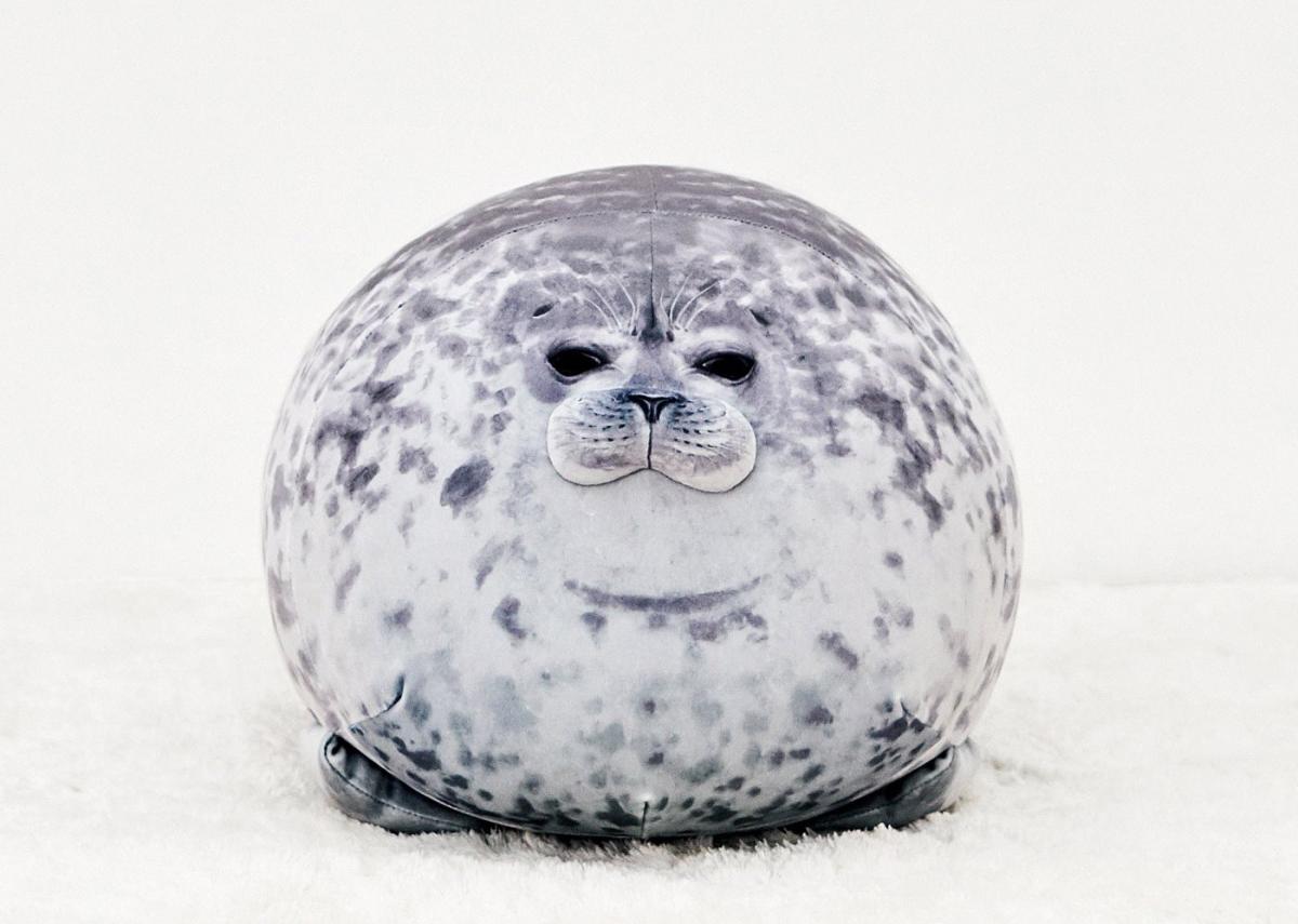 Chonky Seal Pillow - Realistic seal pillow cushion