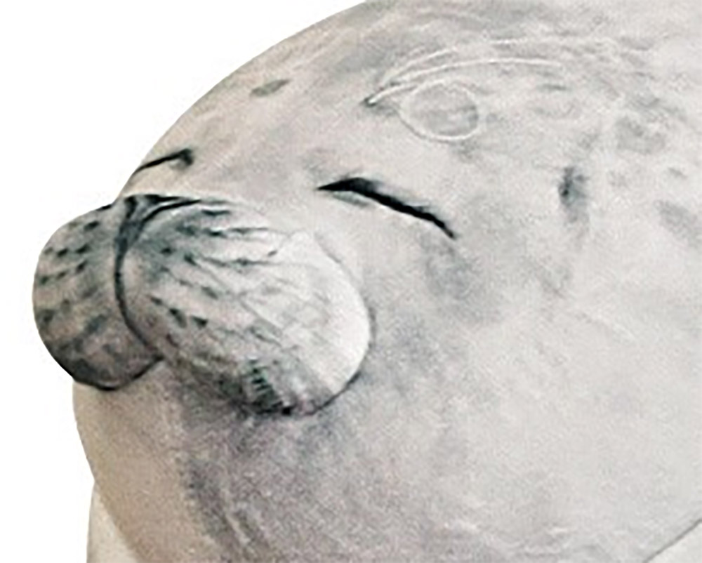 realistic seal plush