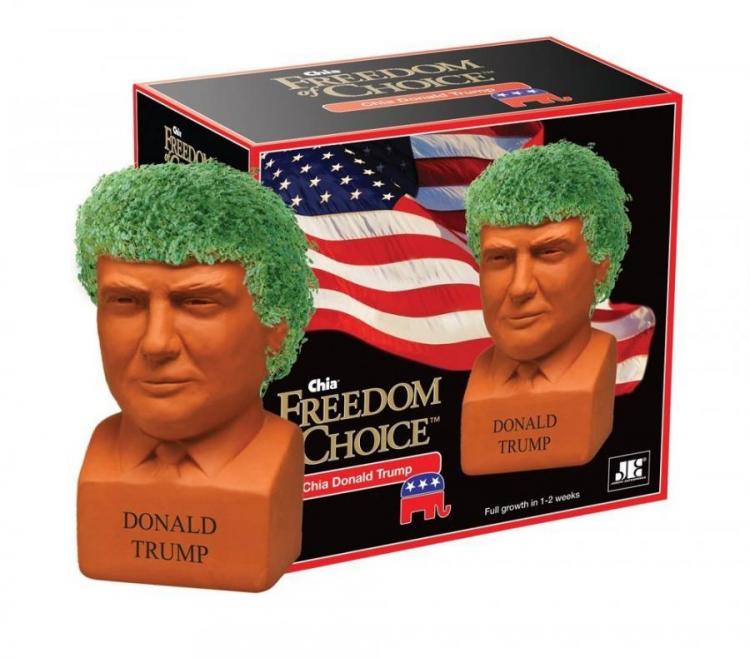 Bob Ross Chia Pet Lets You Grow a Happy Little Bush on Bob's Head