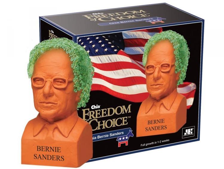 Bob Ross Chia Pet Lets You Grow a Happy Little Bush on Bob's Head