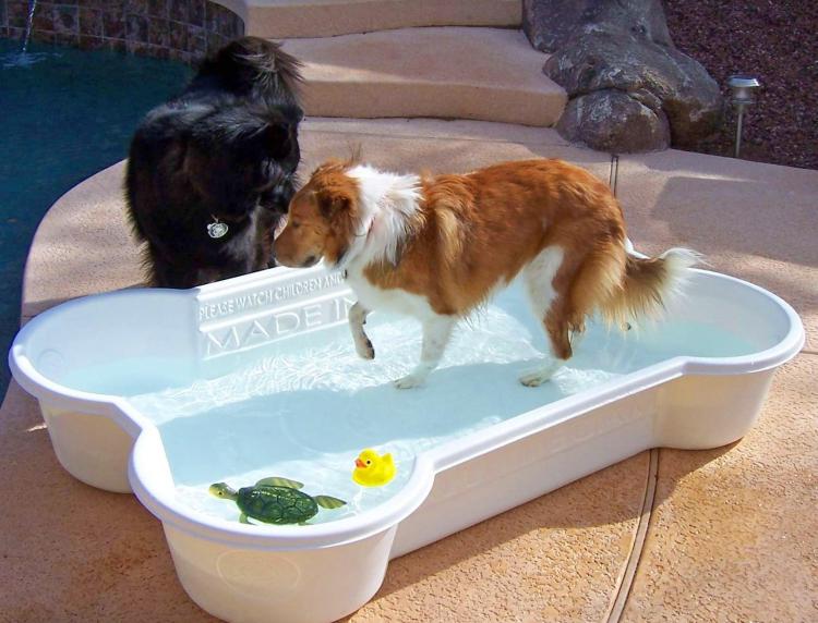 Dog pool shaped 2025 like a bone