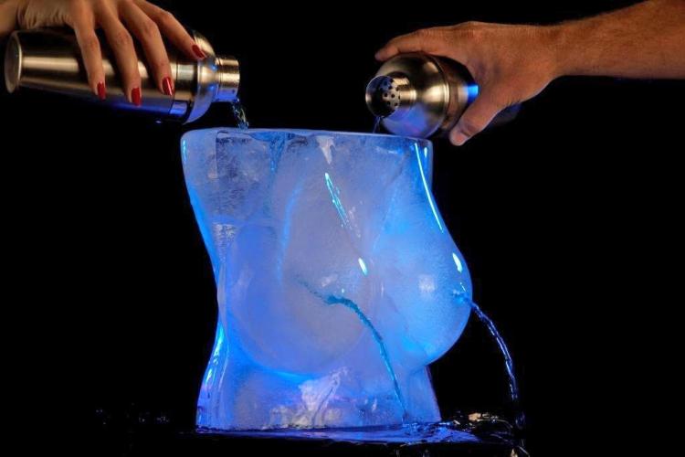 Large Penis Ice Luge DIY Freeze At Home