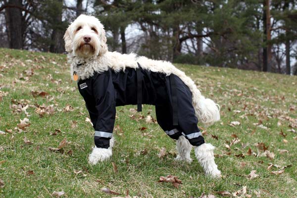 Bodyguard - Protective All-Weather Dog Pants - foufoubrands-usa