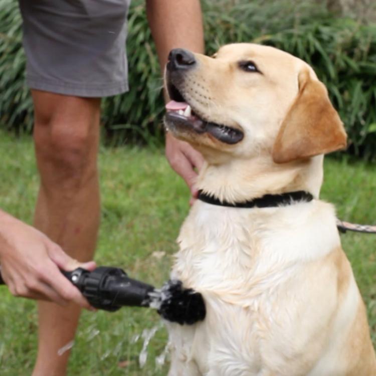 Water-powered cleaning brush with rotating head (Brush Hero Wheel