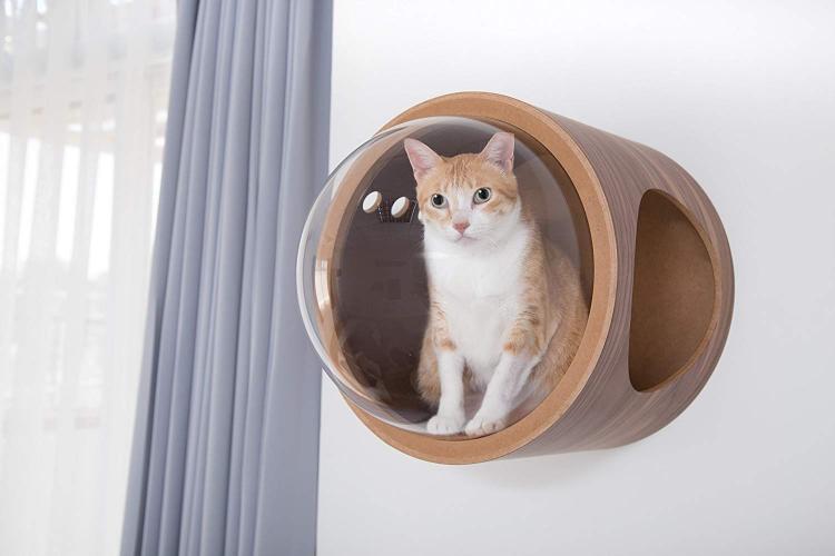 Bubble Window Wall-Mounted Cat Bed - Floating futuristic spaceship cat bed lounger - MYZOO Spaceship gamma