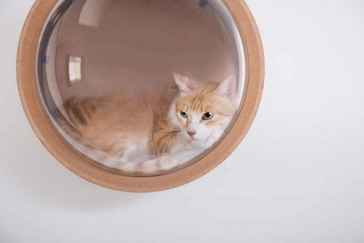 Bubble Window Wall-Mounted Cat Bed - Floating futuristic spaceship cat bed lounger - MYZOO Spaceship gamma
