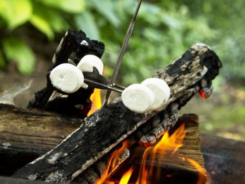 This Campfire Fishing Pole Roaster Lets You Roast Mallows Like You're  Fishing