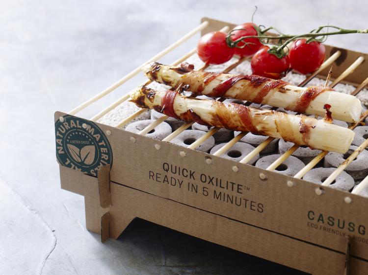 CasusGrill: Biodegradable, Portable and Disposable Mini Grill - Best Travel BBQ Grill