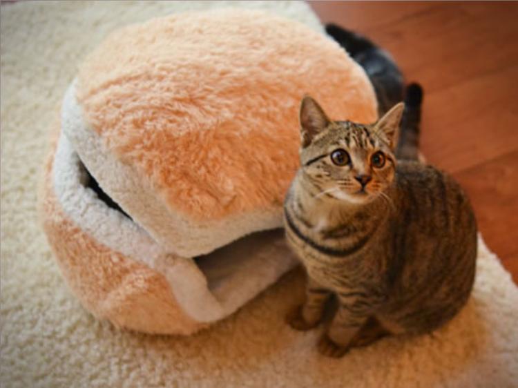 cat burger bed