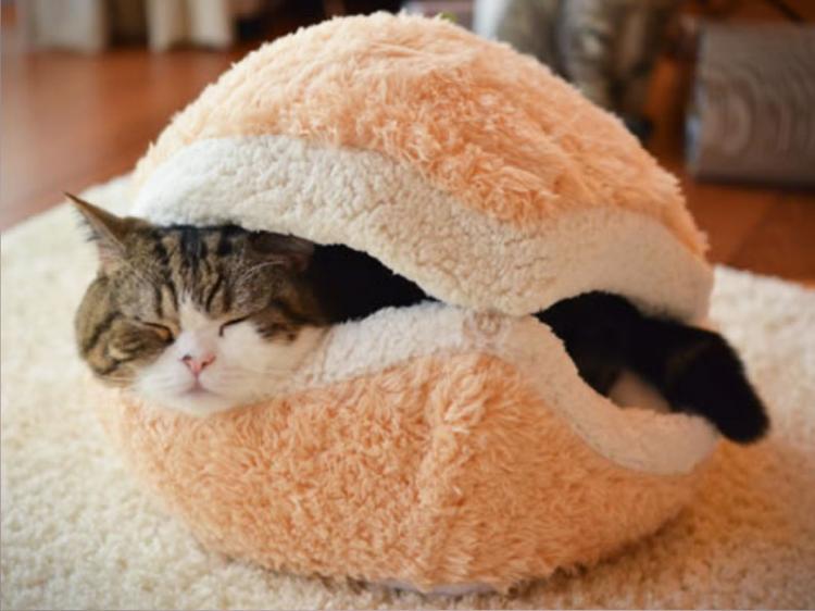 Cat Burger Bed