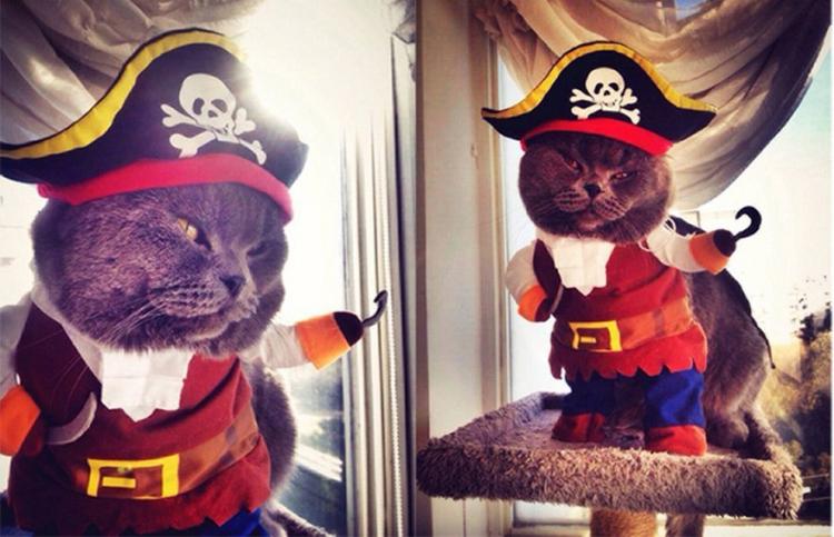 Cat Pirate Costume