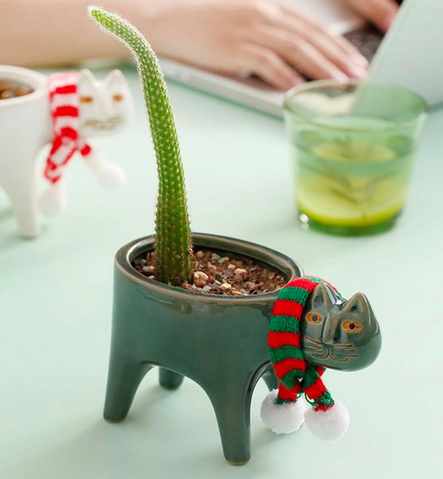 Cat Planters With Cactus tail