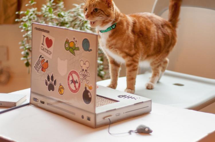 Cat Scratch Laptop - Toy Laptop For Cats
