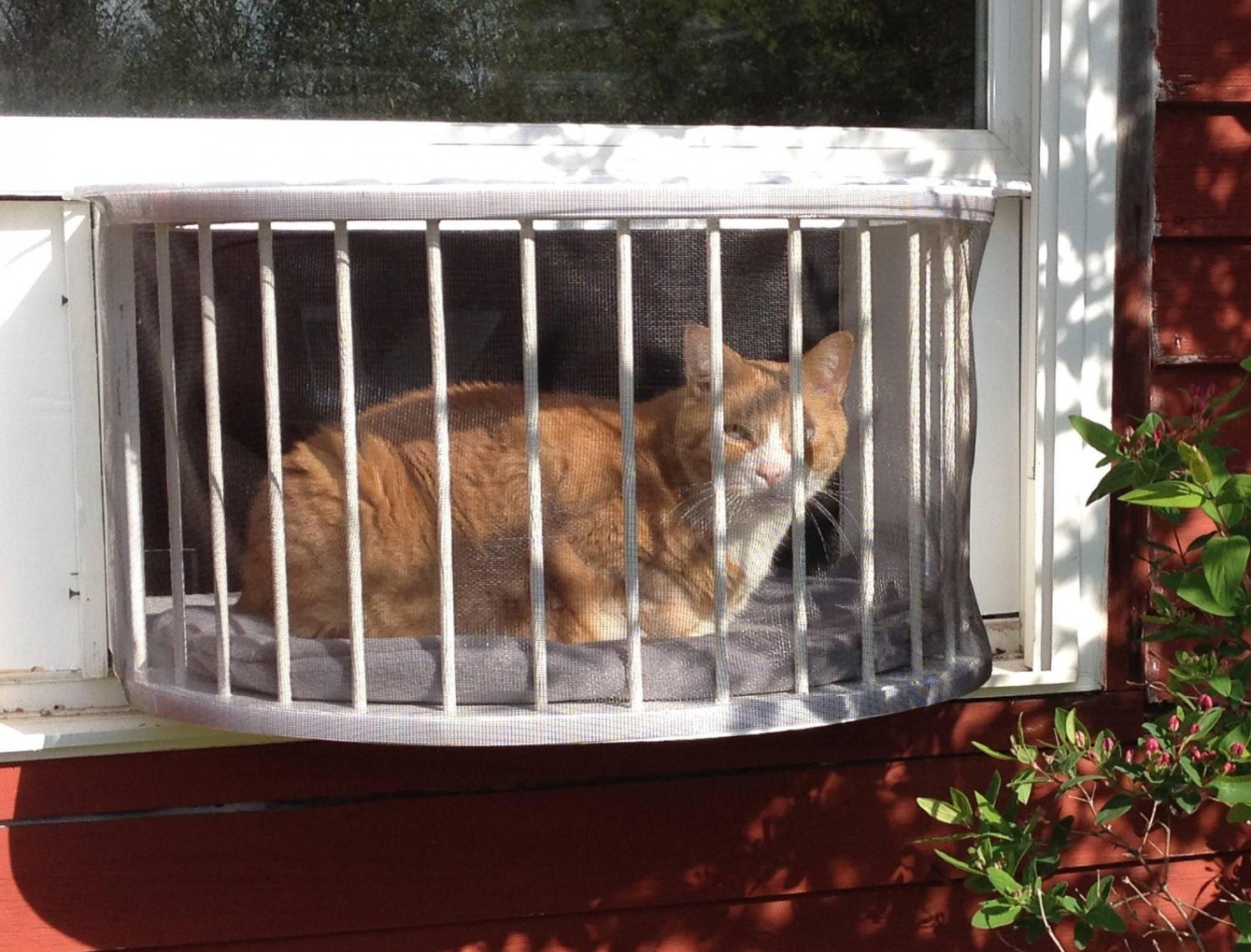 Cat Solarium Cat Patio in window