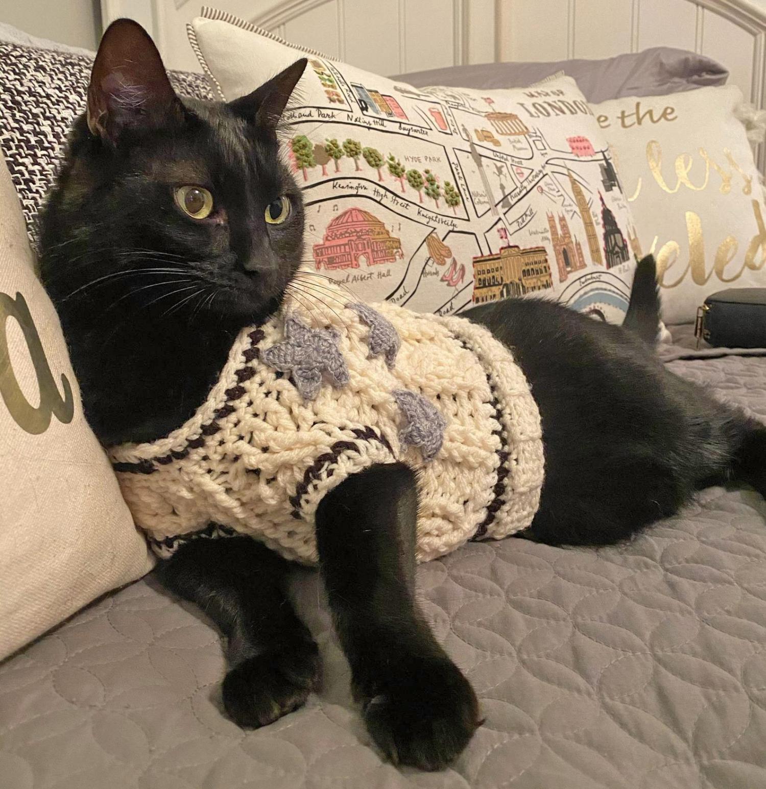 These Cat Cardigan Sweaters Are An Adorable Way To Keep You Kitty Cozy