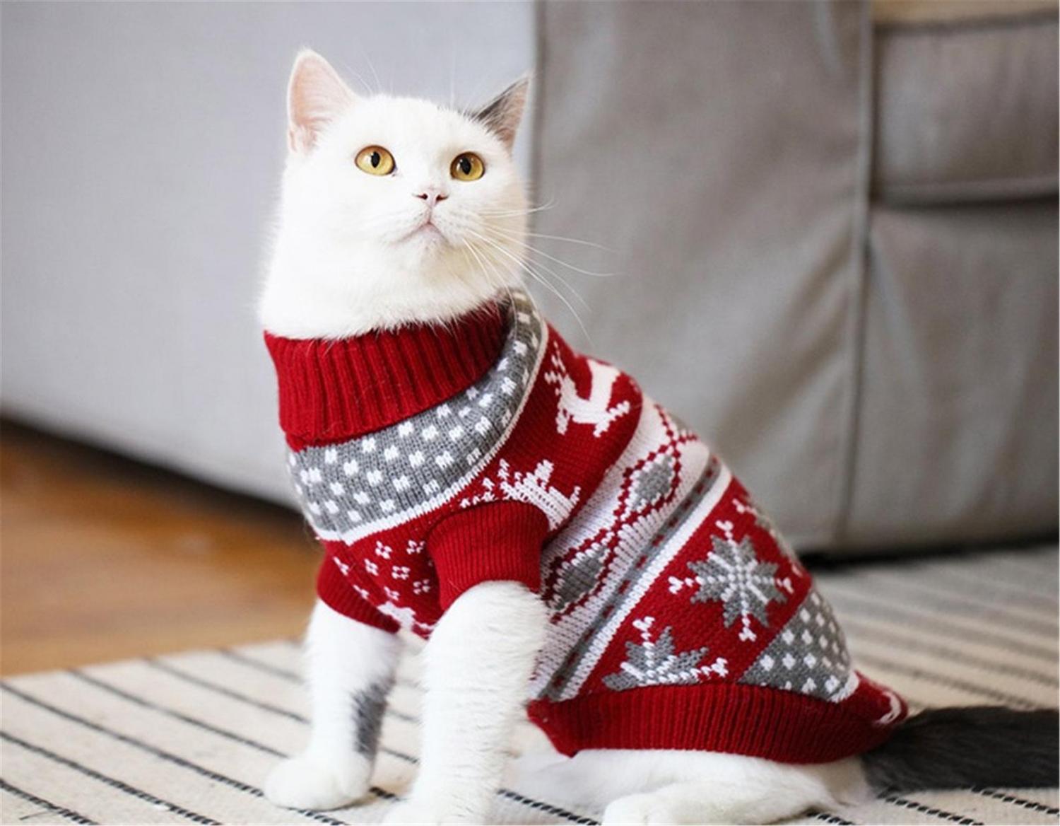 Cat Cardigan Sweater - Red