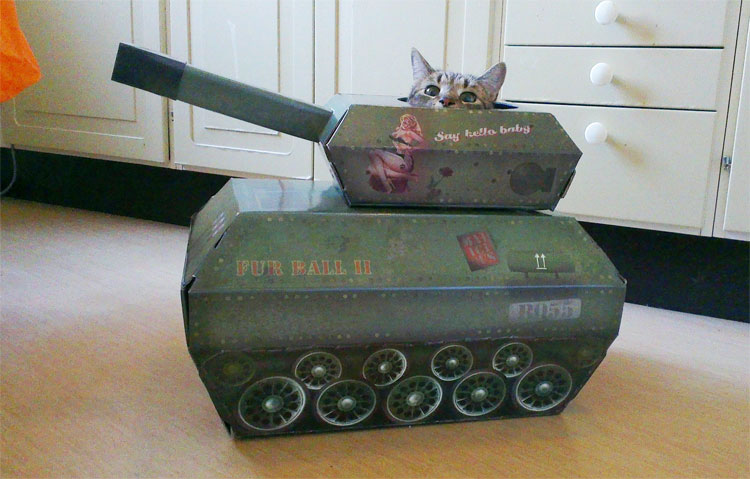 Cat Tank Playhouse