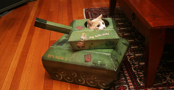 Cat Tank Playhouse