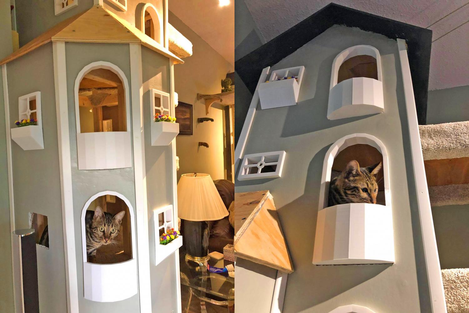Incredible Cat Towers With Connecting Bridge - The Ultimate Cat Playhouse Detailed Cat Towers