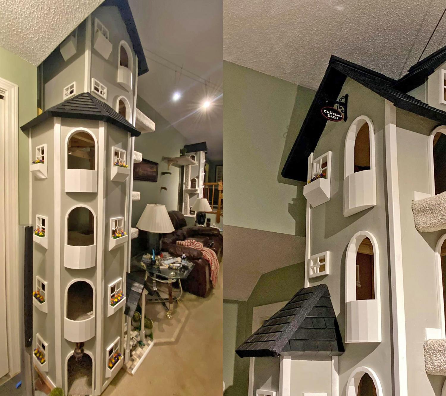 Unique cat outlet towers