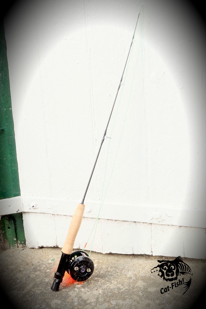 The Cat-Fish Is a Fly Fishing Pole Cat Toy