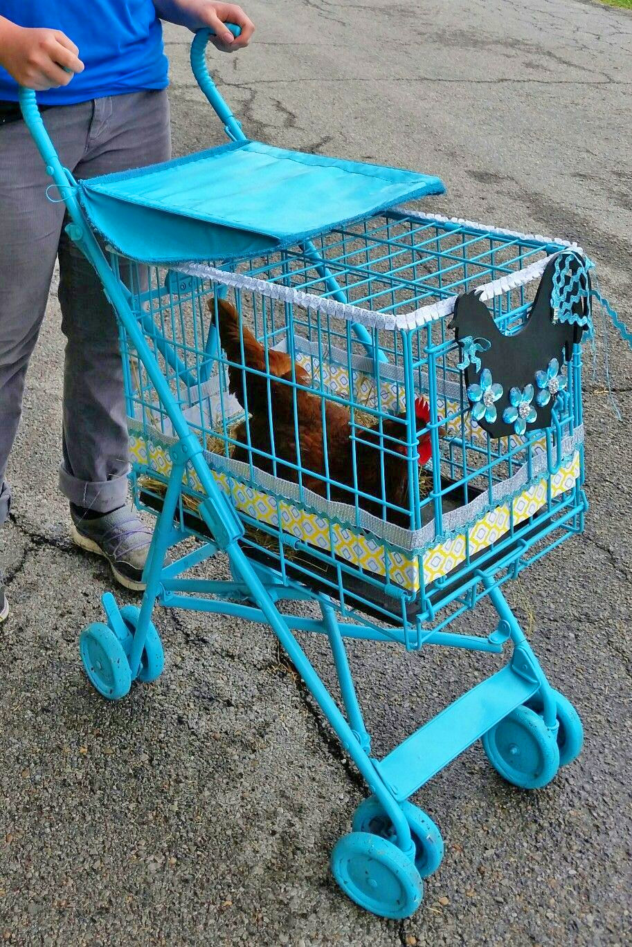 DIY Chicken Stroller