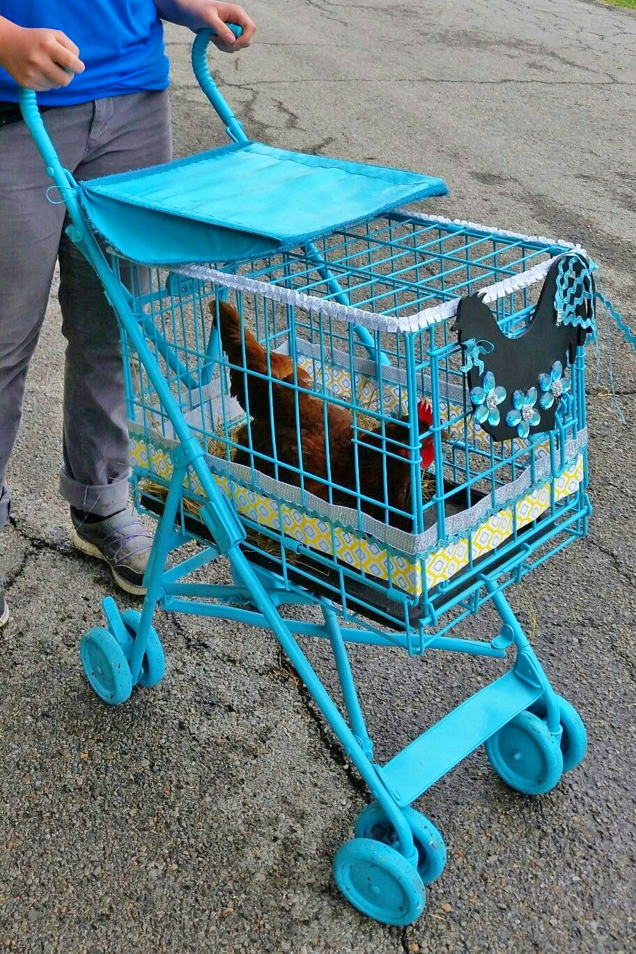 chicken stroller amazon