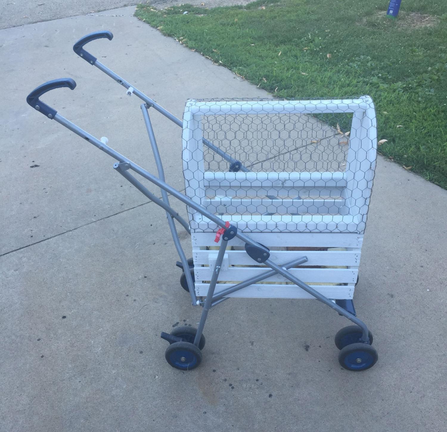 DIY Chicken Stroller