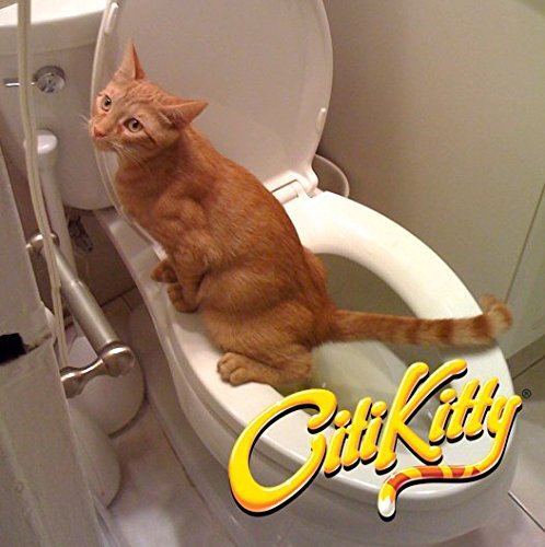 How to train cat to pee in outlet toilet