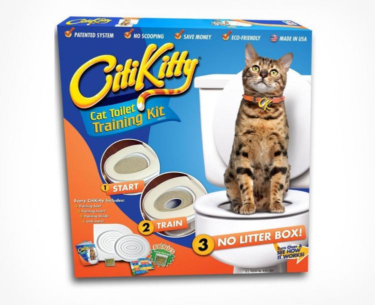 Train Your Cat To Pee In The Toilet