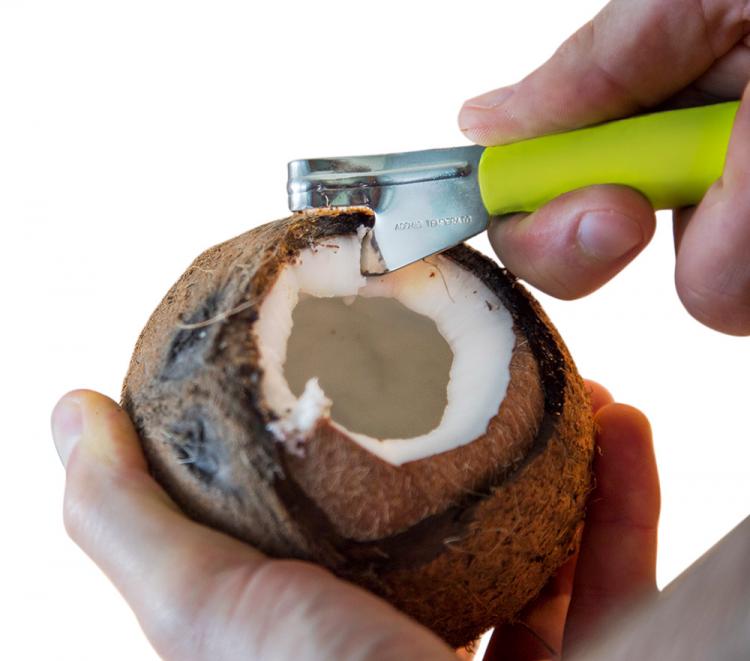 Cococrack Easy Coconut Opener - Safest coconut opener - Best coconut opener