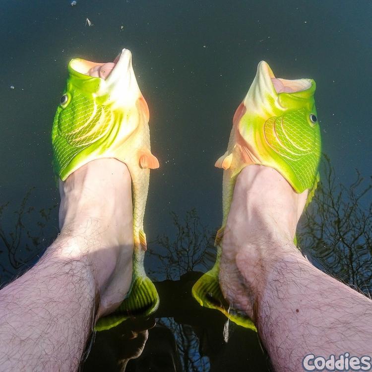 coddies fish flops