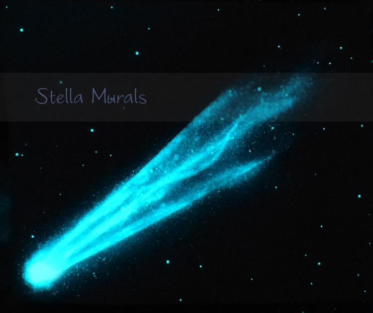 Glow in the Dark Stars for a Realistic Night Sky Ceiling - Stella Murals