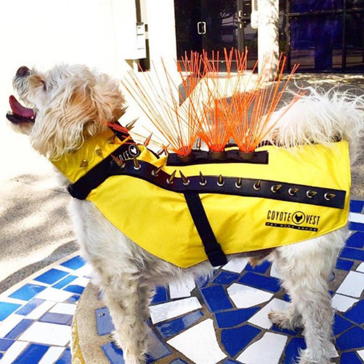 Dog safety shop vest with spikes