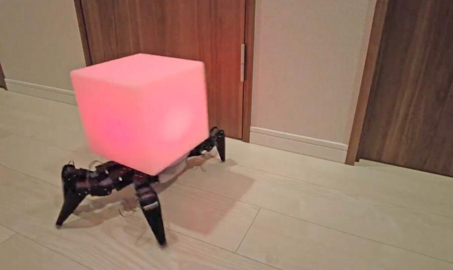 Creepy Spider Night Light Robot That Crawls Around Your House At Night