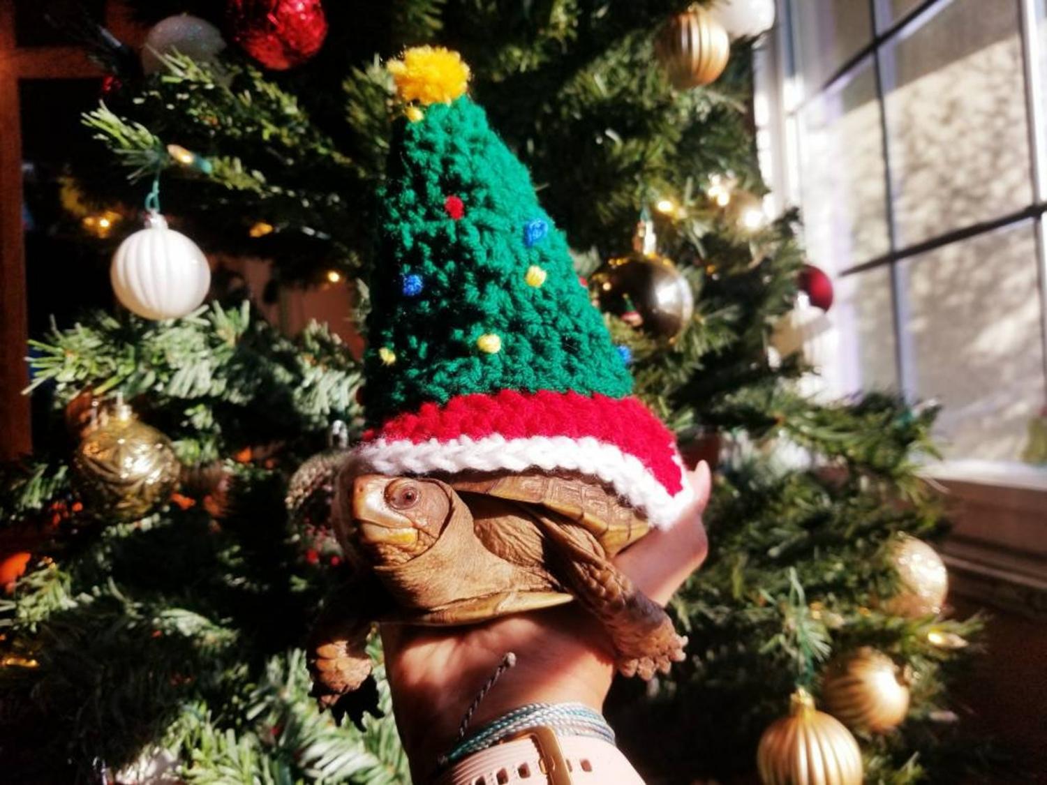 Crochet Christmas Tree Turtle Costume tortoise Sweater